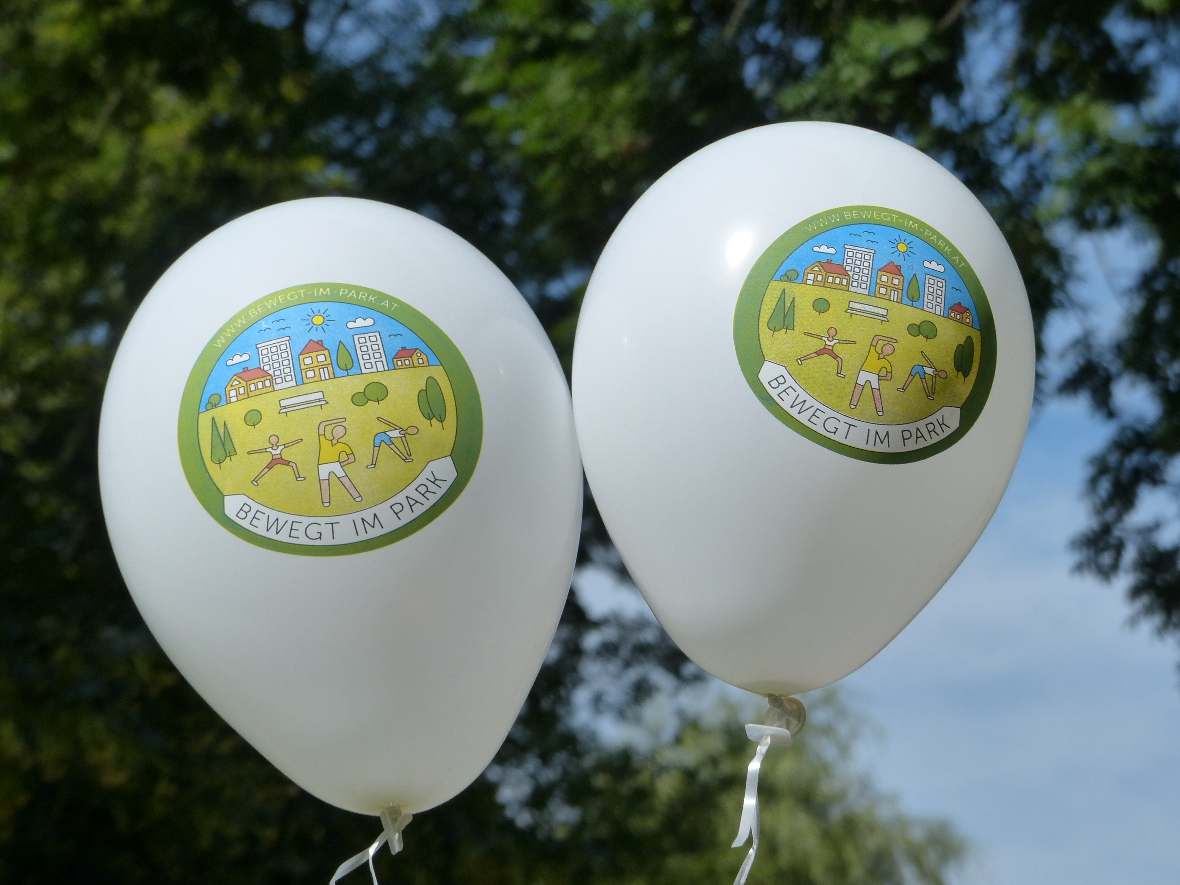 Von Skaten über Slacklinen bis hin zu Ultimate Frisbee steht Interessierten bei „Bewegt im Park“ ein breites Angebot zur Verfügung.
