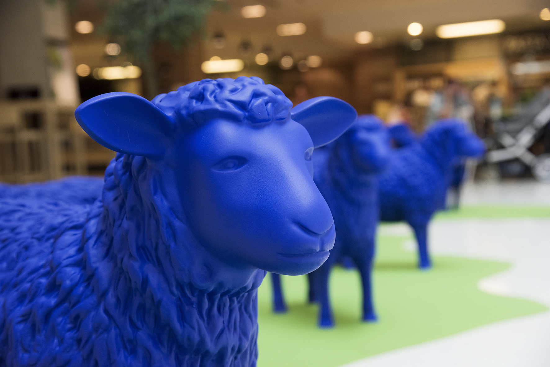 Die „Blaue Friedensherde“, lauter blaue Schafe - ein aufsehenerregendes Projekt des deutschen Aktionskünstlerpaares Bertamaria Reetz und Rainer Bonk, „graste“ von 11. bis 13. Juni 2015 im und vor dem Kaufhaus Tyrol. Vizebürgermeister Christoph Kaufmann kam vorbei, um sich die Ausstellungsstücke selbst anzusehen. Mit dabei waren auch Florian Fledersbacher (Marketing Manager Kaufhaus Tyrol) sowie die Künstlerin Bertamaria Reetz.